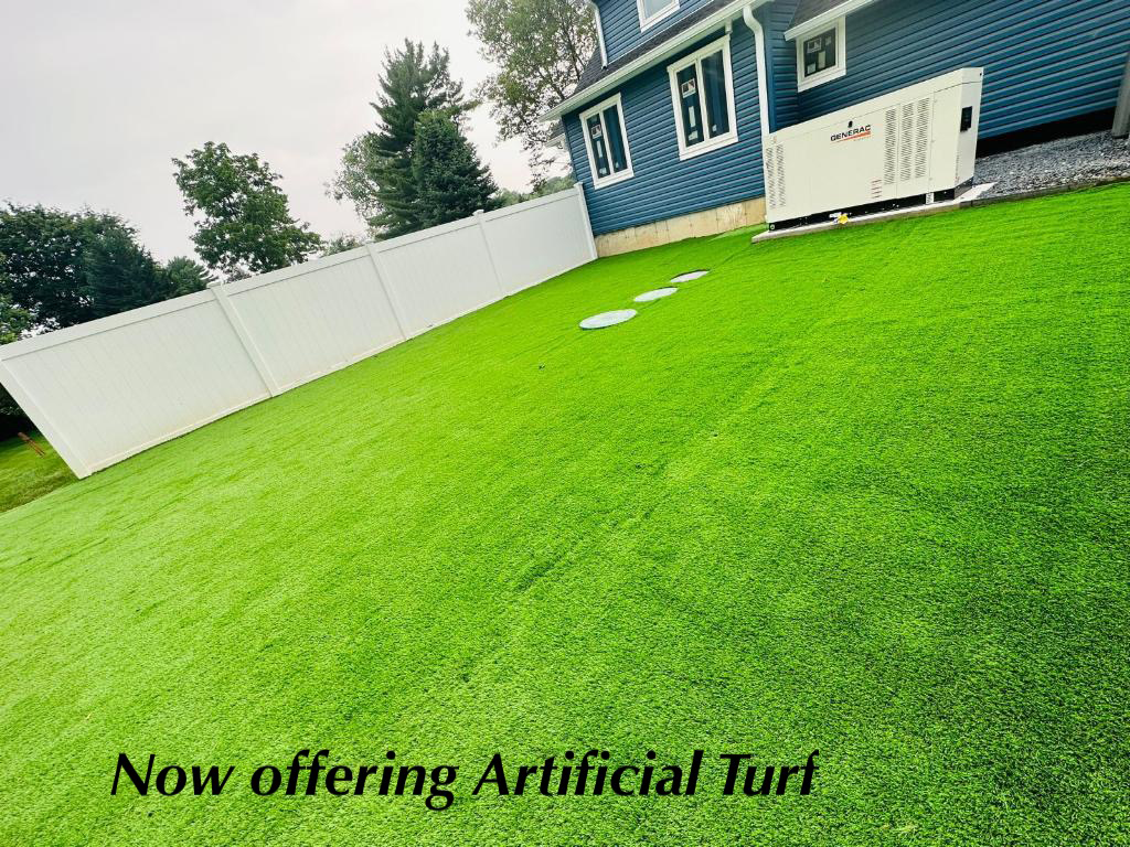 Artifical Turf