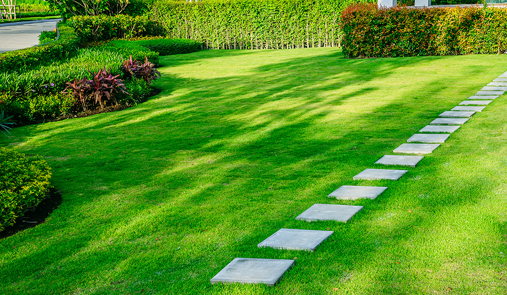 lawn care services long island